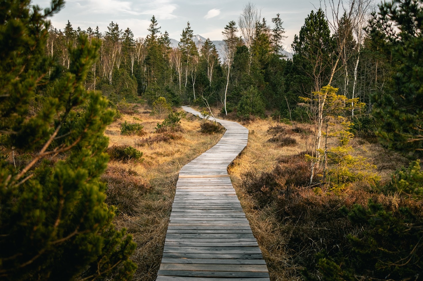 Conseils pour une pratique optimale de la marche afghane